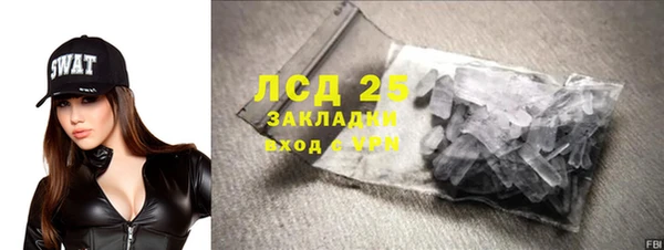 шишки Богородицк