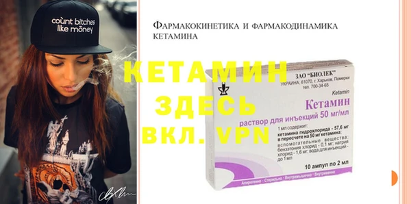 шишки Богородицк