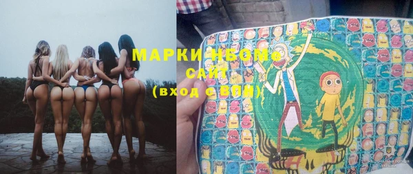 шишки Богородицк