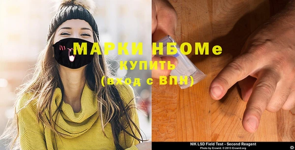 шишки Богородицк
