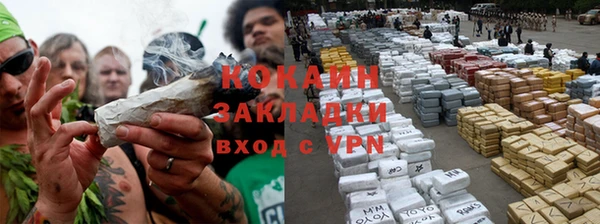 шишки Богородицк