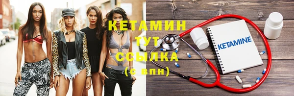 шишки Богородицк