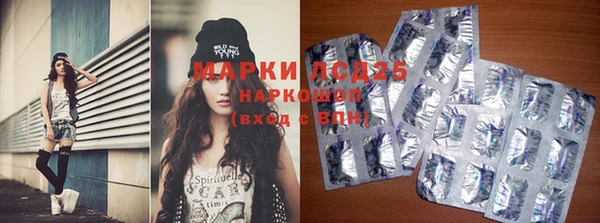 шишки Богородицк