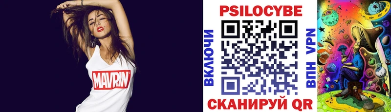 Купить  Горняк  Галлюциногенные грибы Psilocybine cubensis 